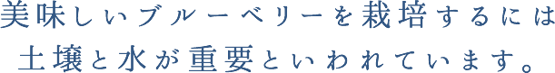 おいしいブルーベリーを栽培するには土壌と水が重要と言われています。