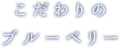 こだわりのブルーベリー